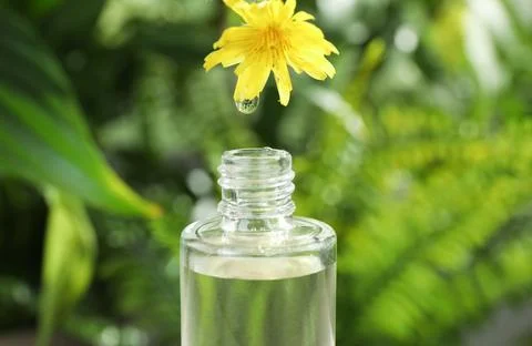 Essential oil dripping from wild flower into glass bottle on blurred backgrou Stock Photos