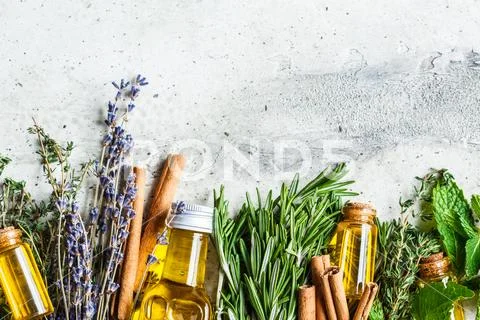 Essential Oil In Glass Bottles. Thyme, Mint, Rosemary And Lavender Essential Oil