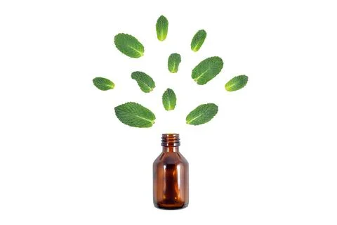 Essential oil mint components dark glass vial 库存照片
