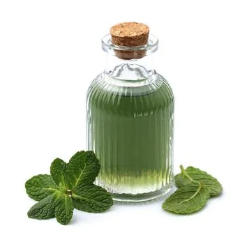 Essential oil with mint Stock Photos