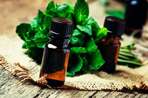 Essential oil of peppermint in a small brown bottle with fresh green mint, ru Stock Photos