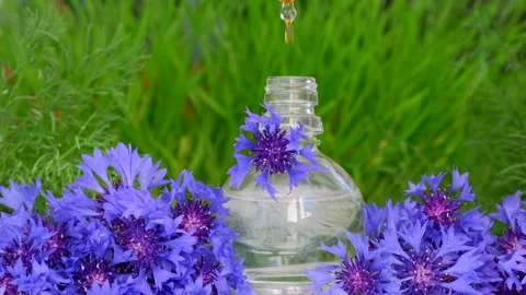 Essential Oil Product. Drops falling from cosmetic pipette to perfume bottle Vídeo Stock 135976568