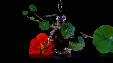 Essential Oil Product. Drops falling from cosmetic pipette to perfume bottle 스톡 동영상 144972686