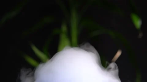 Essential oil smoke from diffuser or humidifier. Aroma oil steam aromatherapy Stock Footage 171769841