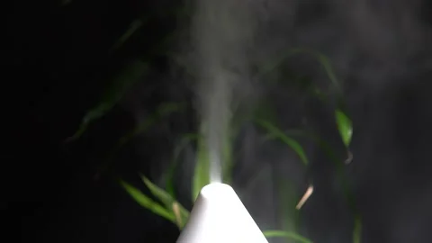 Essential oil smoke from diffuser or humidifier. Aroma oil steam aromatherapy Stock Footage 171769851