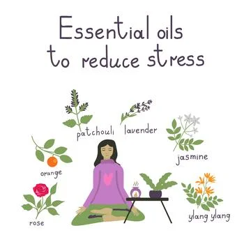 Essential oils illustration Stock Illustration