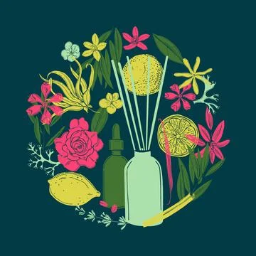 Essential oils. Vector sketch illustration. Stock Illustration