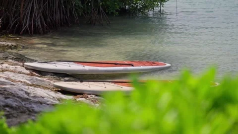 Establishing B Roll Shot of Two Paddle Boards Laying On Tropical Beach Stock Footage 288038899