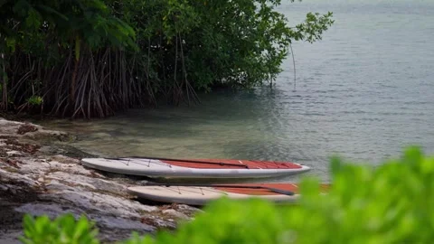 Establishing B Roll Shot of Two Paddle Boards Laying On Tropical Beach Stock Footage 288038903