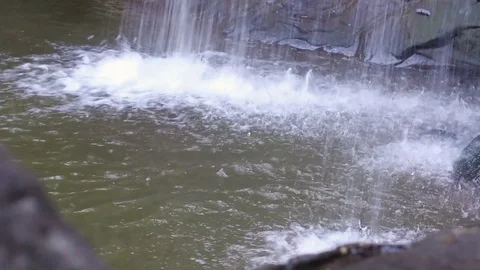 Establishing shot of the basin of a waterfall below the falling water Stock Footage 77504894