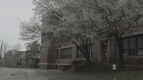 Establishing shot of brick school with trees out front Stock Footage 90394677