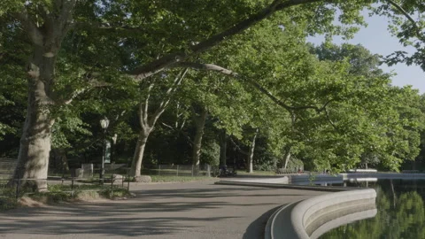 Establishing shot of Central Park Stock-Footage 279134906