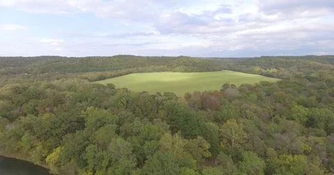 Establishing Shot Comes Down into Woods from Sky to River in Rural Countryside Stock-Footage 81645901