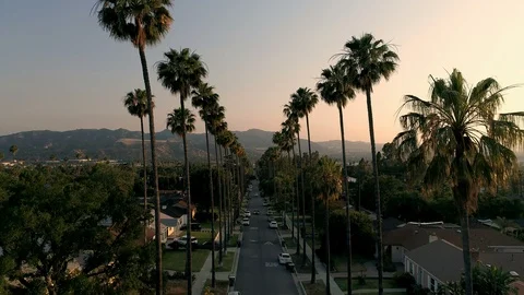 Establishing shot down into palm tree neighborhood in Los Angeles, CA Stock Footage