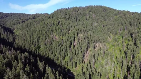 Establishing Shot of Forested Mountain 스톡 동영상 278250398