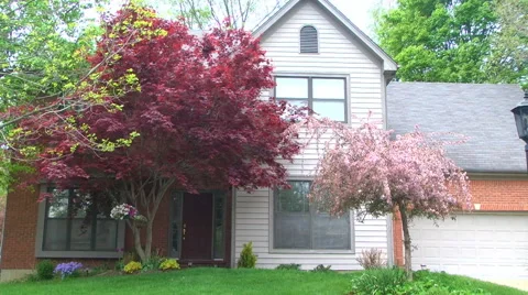 Establishing shot of the front of a middle class house during daytime in spring Stock Footage 50062023