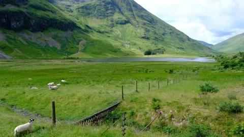 Establishing shot of Glen Coe in the Scottish Highlands Stock Footage 246747931