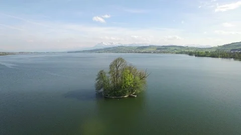 Establishing shot of lake landscape with tree island Video stock 86853688
