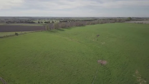 Establishing shot of pasture Stock Footage 77709338