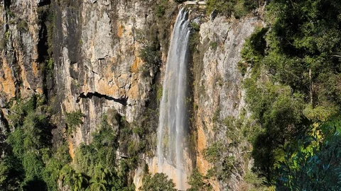 Establishing shot of Purlingbrook Falls in Springbrook Queensland, Australia. Stock Footage 92747215