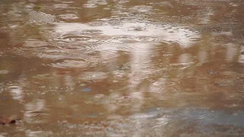 Establishing shot of rain falling on pavement Stock Footage 111841479