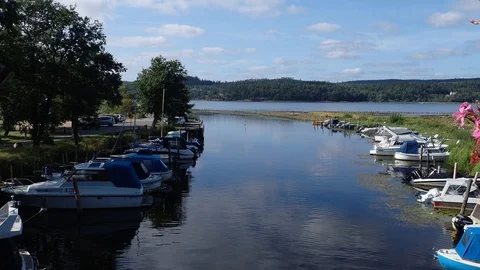 Establishing shot of savean river during summer in alingsas sweden Stock Footage 115271716