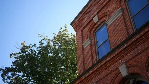 A, establishing shot of second story red brick building near tree  Stock Footage