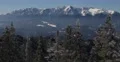 Establishing Shot Snow Capped Mountain Peak Fir Tree Forest Beautiful Landscape 4k or 4k+ Resolution