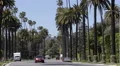 Establishing Shot Spectacular View Beverly Hills Drive Cars Passing Los Angeles HD Footage