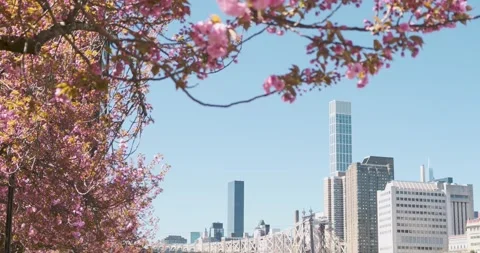 Establishing shot spring view of Queensboro bridge - New York City 動画素材 286030975
