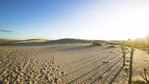 Establishing Shot  At the sunset Dunes Vidéo 152167423