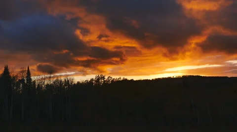Establishing shot-Time lapse-Setting sun lights dark clouds silhouetted trees Stockbeeldmateriaal 68632925