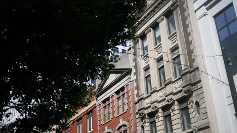 Establishing Shot of Tree in Foreground of Old City Buildings Stock Footage 314140590