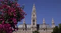 Establishing Shot Vienna Old Town City Hall Tall Gothic Clock Tower Pink Flowers HD Footage