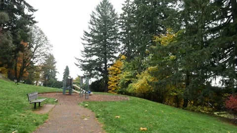 Establishing shot wide angle overcast cloudy forest static shot. Stock Footage 255267000