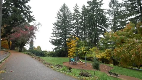 Establishing shot wide angle overcast cloudy forest static shot. Stock Footage 255267191
