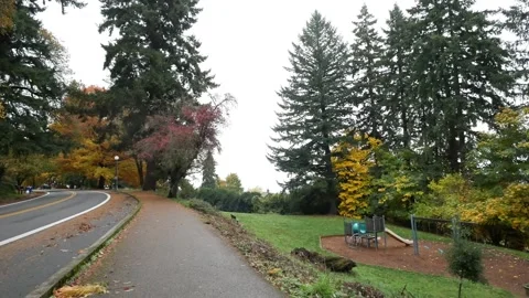 Establishing shot wide angle overcast cloudy forest static shot. Stock Footage 255267198