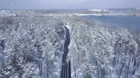 Establishing shots drone flight over the road in the pine forest, overlooking Stock Footage 146856857