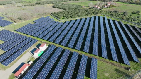 Establishing Tilt Down: Solar Array Panorama Stock Footage 302882808