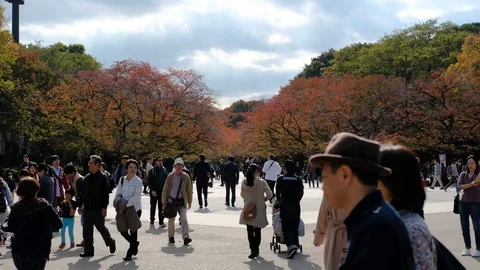 Establishing view of Ueno park 動画素材 93635135