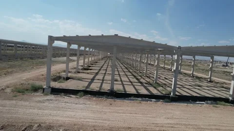 Establishment of an industrial site Stock Footage 213589969