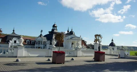 Estate on the background of the forest. close-up modern baroque. Vidéo 237523066