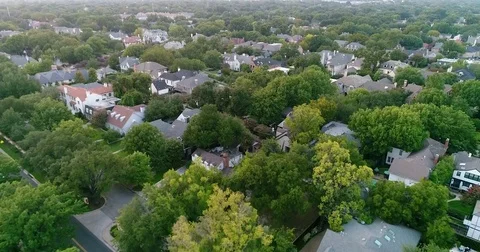 Estate homes under old trees in the Highland Park area of Dallas Free Stock Footage 79873861