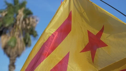 Estelada Vermella Flag During the protests claiming Freedom for Political Pri Stock Footage 118123824