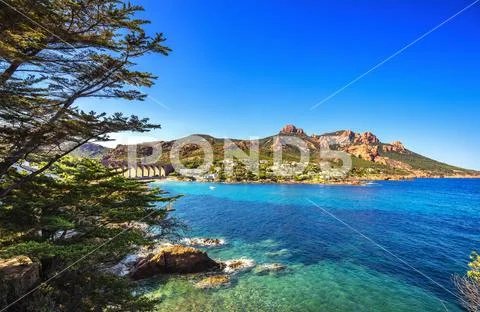 Esterel rocks beach coast, tree and sea. Cannes Saint Raphael Cote Azur, Pr.. Stock-Fotos