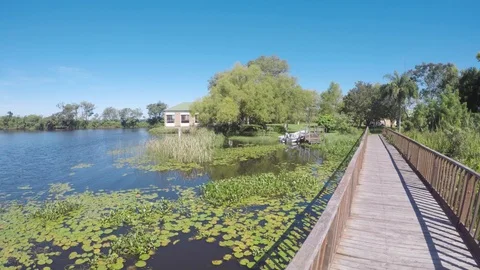 Esteros de Iberá. Estuaries of ibera Stock Footage 98953910