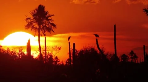 Esteros Sunset Stock Footage 7749187