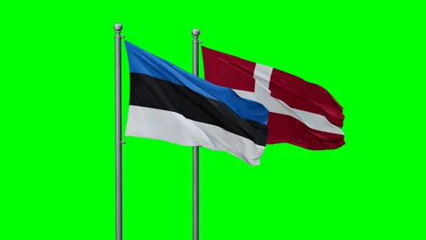 Estonia and Denmark flags Stock Footage 293207558