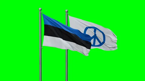 Estonia and Peace two flags Stock Footage 293207138