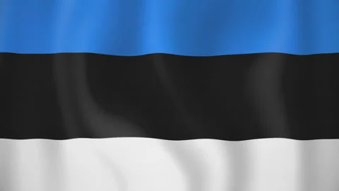 Estonia animated flag. Seamless loop. 4K Stock Footage 145439145